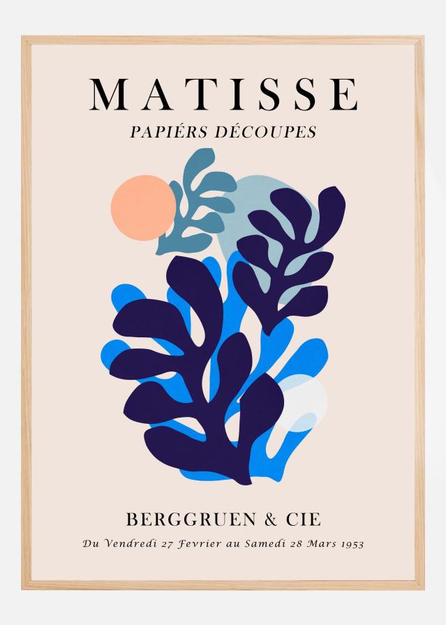 Matisse floral 5 Įrašai