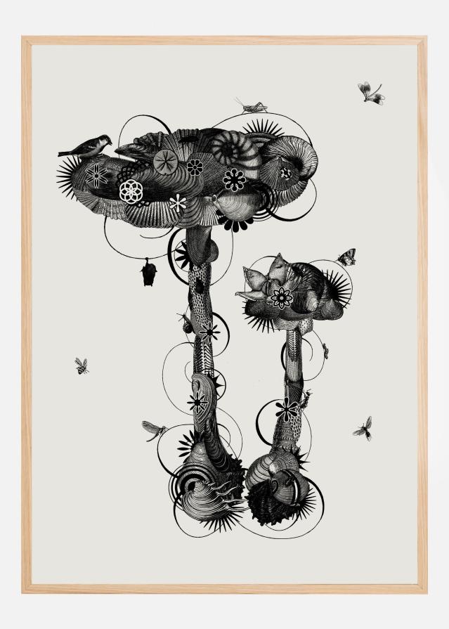 Amanita Mascara Įrašai