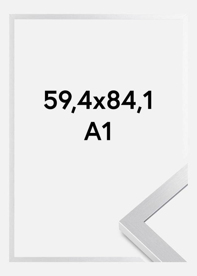 Rėmas Selection Akrilo stiklas Sidabrinis 59,4x84,1 cm (A1)