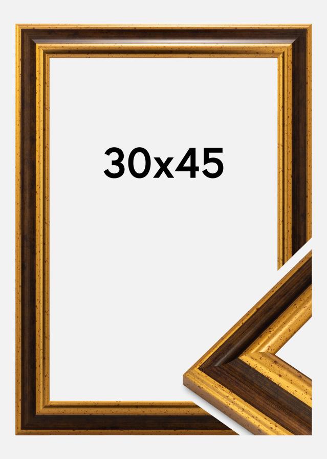 Rėmas Aberystwyth Akrilo stiklas Auksas 30x45 cm