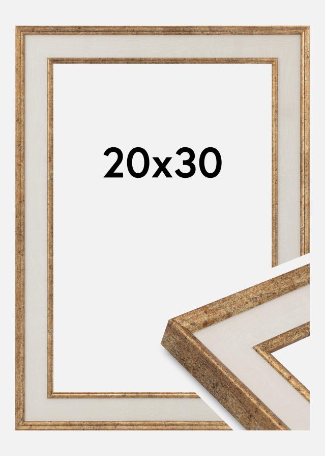 Rėmas Dolly Akrilo stiklas Auksas 20x30 cm