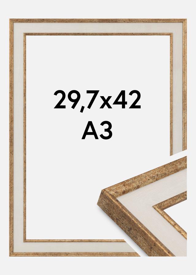 Rėmas Dolly Akrilo stiklas Auksas 29.7x42 cm (A3)