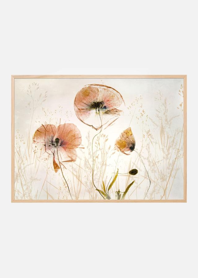 Light and soft Įrašai