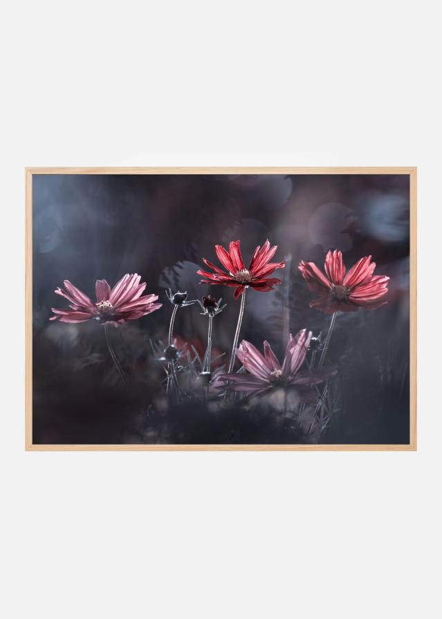 Les fleurs du Bien Įrašai