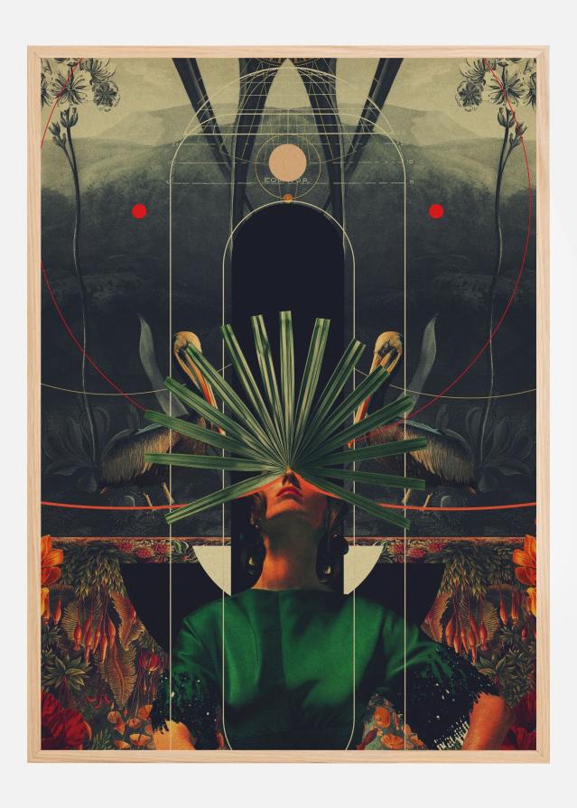 She Saw the Equator Įrašai