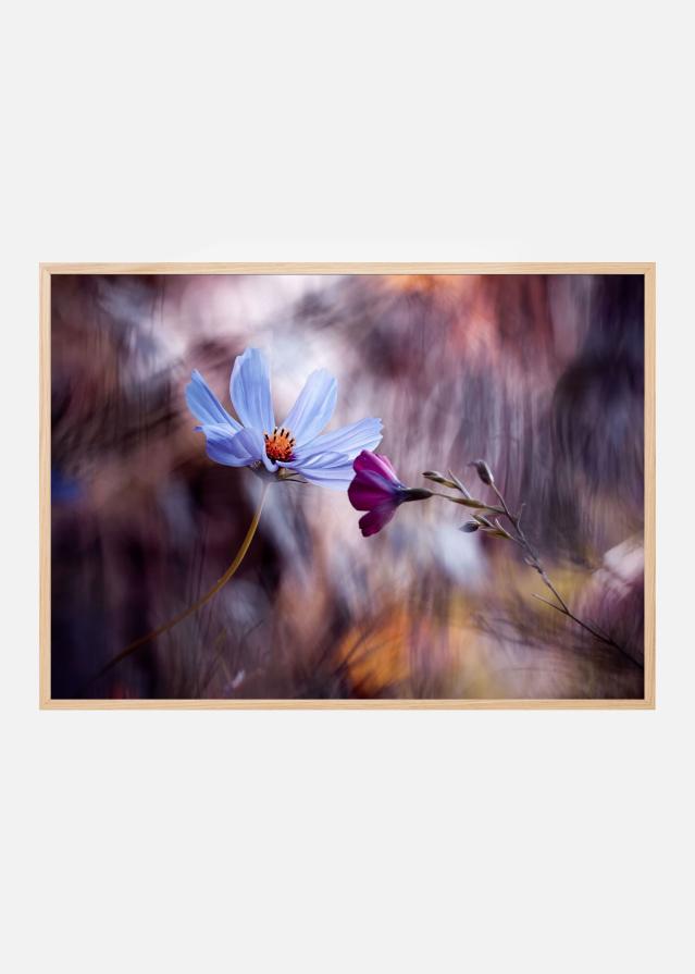 Le rendez vous Įrašai