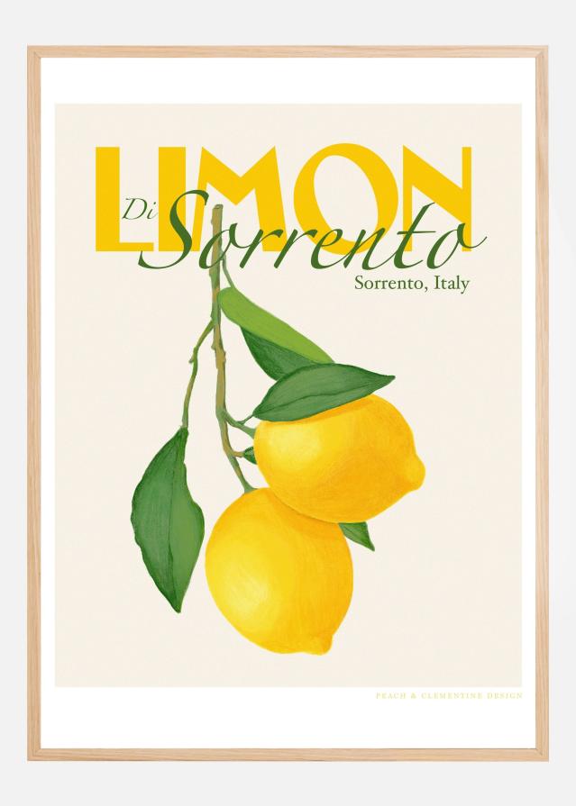 Pandclimondisorrento Copy Įrašai