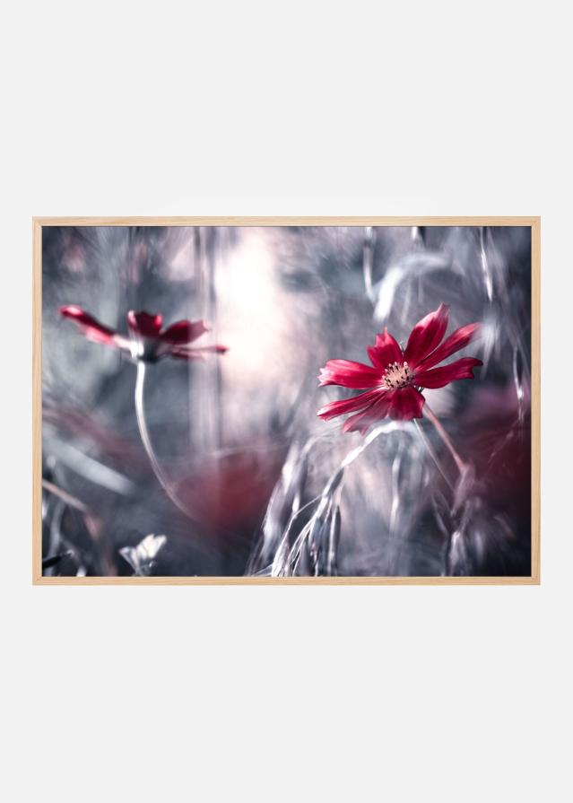 Seduction games Įrašai