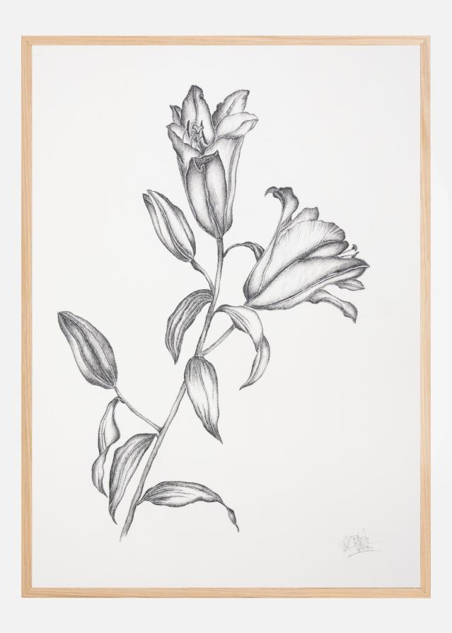 Where Have All the Flowers Gone V Įrašai