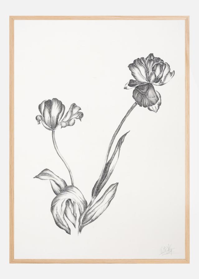 Where Have All the Flowers Gone II Įrašai