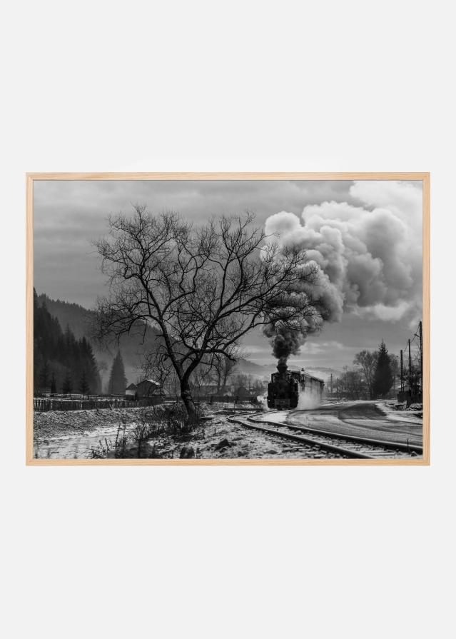 Mocanita Hutulca Įrašai