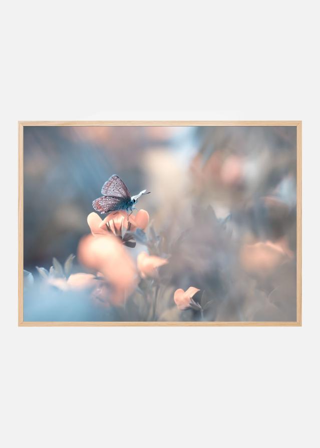 Parmi les dakinis Įrašai