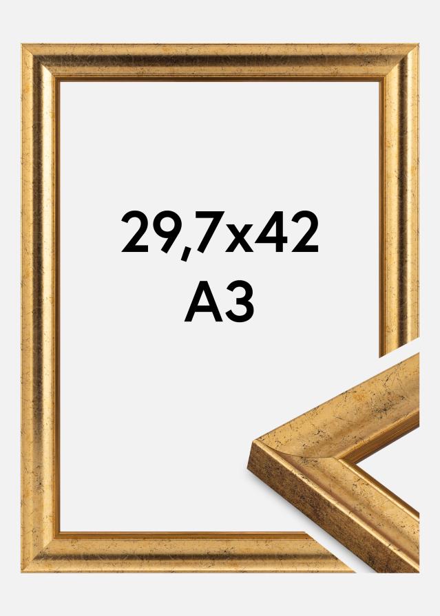 Rėmas Conca Akrilo stiklas Auksas 29.7x42 cm (A3)