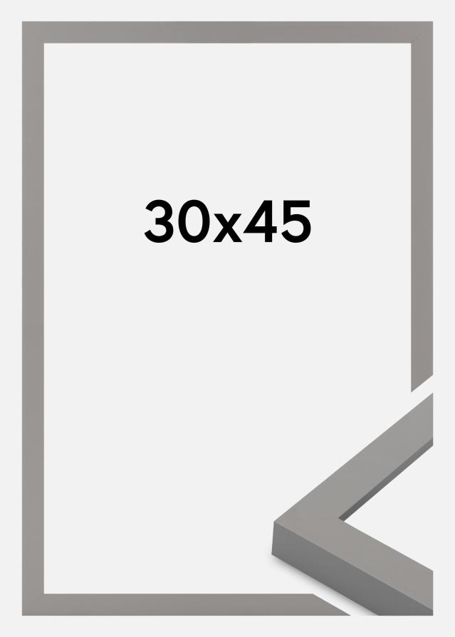 Rėmas Selection Akrilo stiklas Grey 30x45 cm