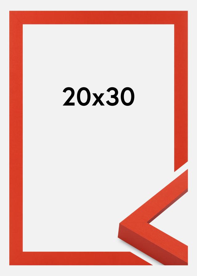 Rėmas Selection Akrilo stiklas Red 20x30 cm