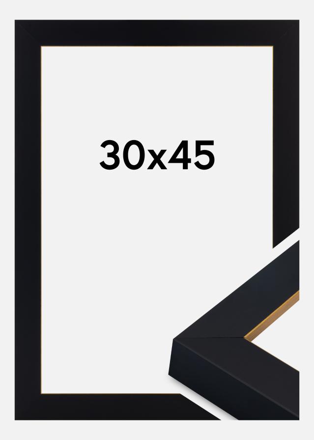 Rėmas Sussex Akrilo stiklas Juoda/Auksinė 30x45 cm