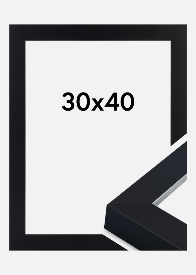 Rėmas Sussex Akrilo stiklas Juoda/Sidabrinė 30x40 cm