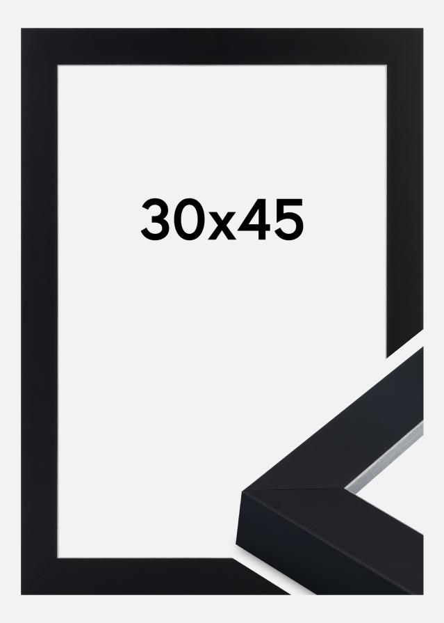 Rėmas Sussex Akrilo stiklas Juoda/Sidabrinė 30x45 cm