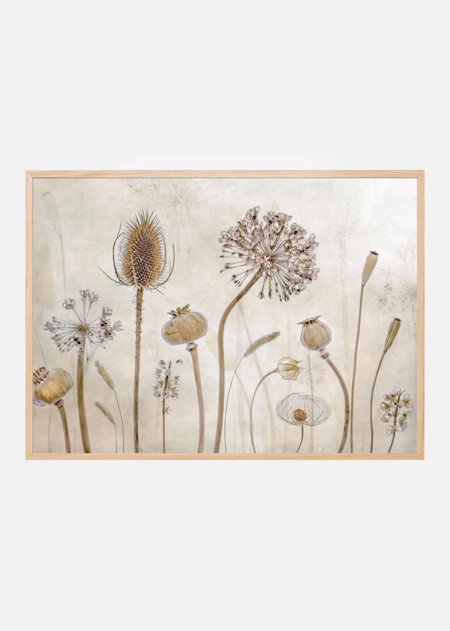 Growing old Įrašai