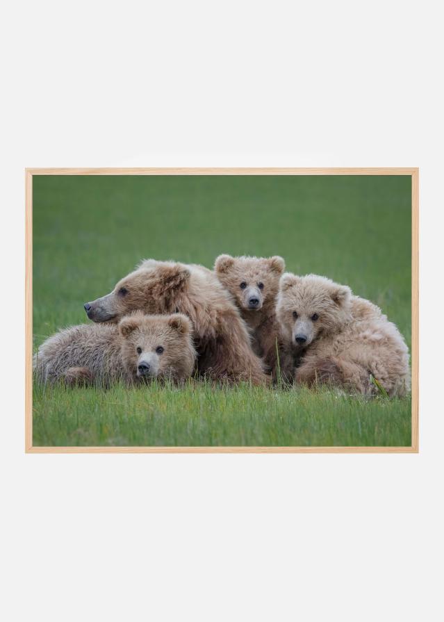 Bear Huddle Įrašai