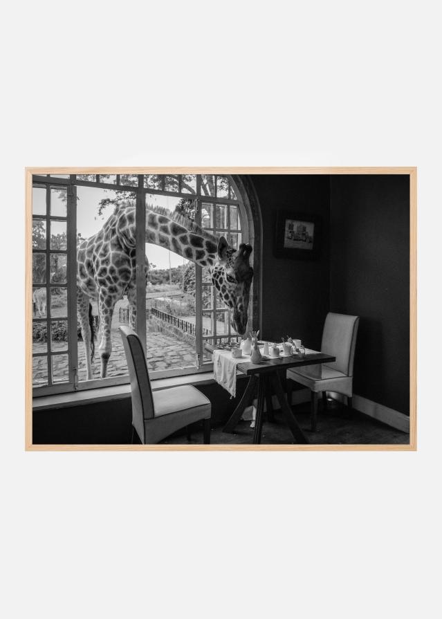 Breakfast time Įrašai