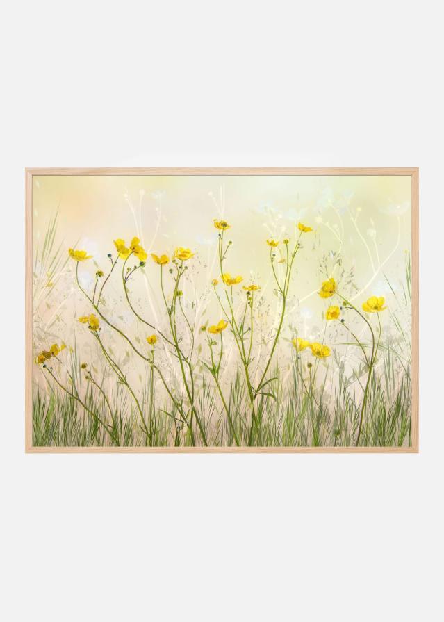 Good morning! Įrašai