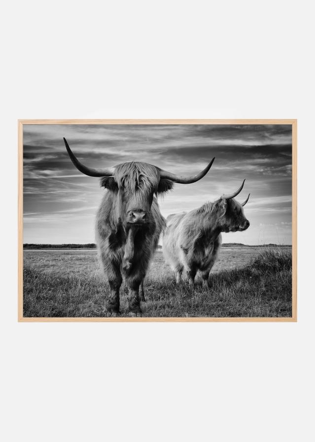 I am the boss Įrašai