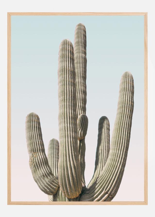 Saguaro Įrašai