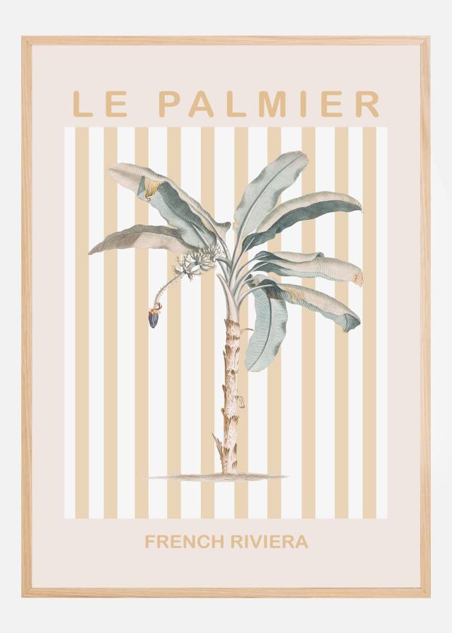 Riviera Plam Tree Įrašai