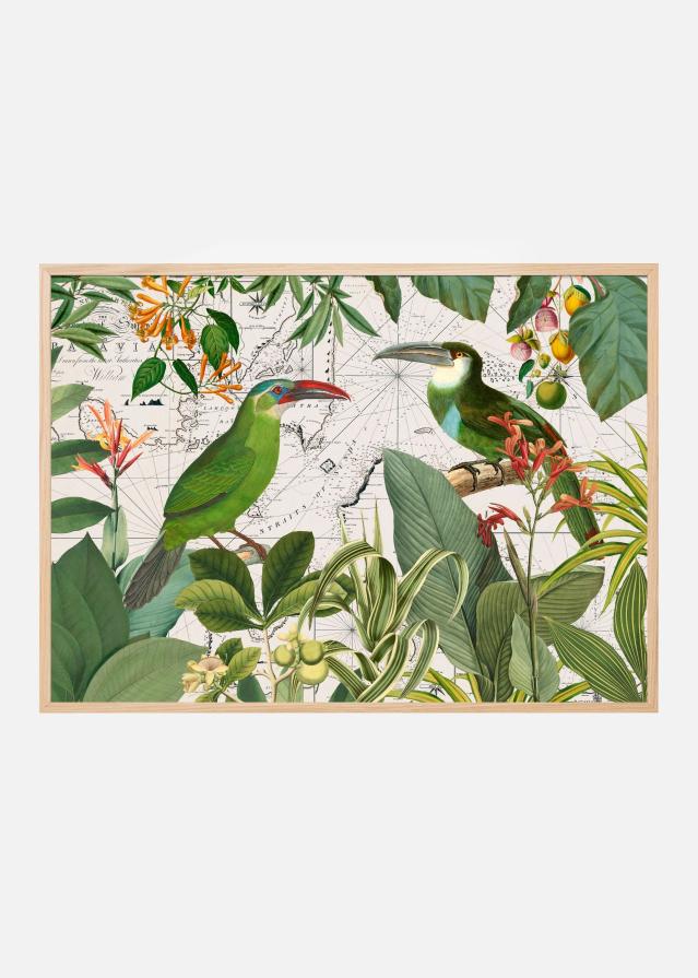 Parrots Nostalgic Journey 3 Įrašai