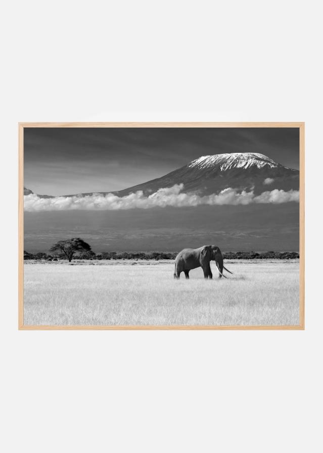 Lost Colors II Įrašai