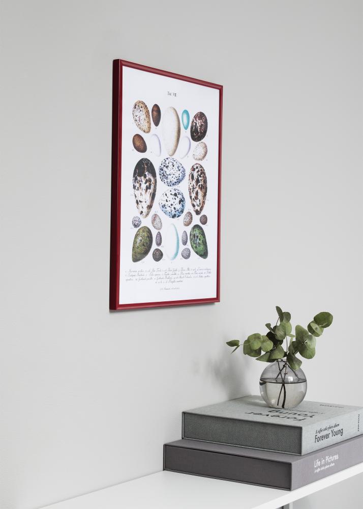 Rėmas New Lifestyle raudona 70x100 cm - Paspartu Baltas 50x85 cm