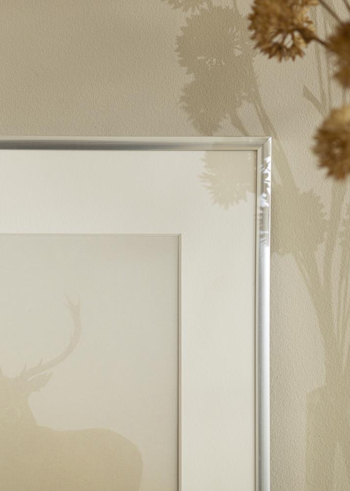 Rėmas New Lifestyle Sidabras 10x18 cm - Paspartu Baltas 8x10 cm