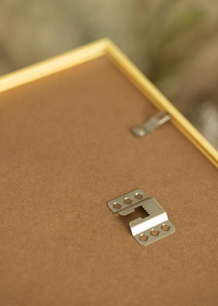 Rėmas New Lifestyle Aukso 60x90 cm - Paspartu baltas 50x75 cm