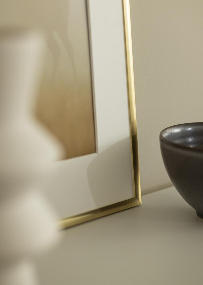 Rėmas New Lifestyle Aukso 60x90 cm - Paspartu baltas 50x75 cm