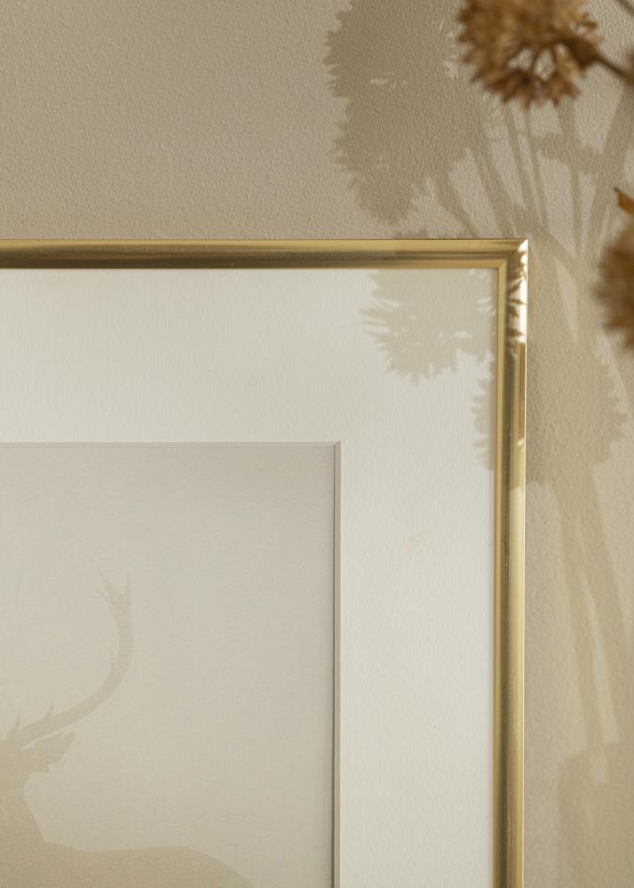 Rėmas New Lifestyle Aukso 60x90 cm - Paspartu baltas 50x75 cm