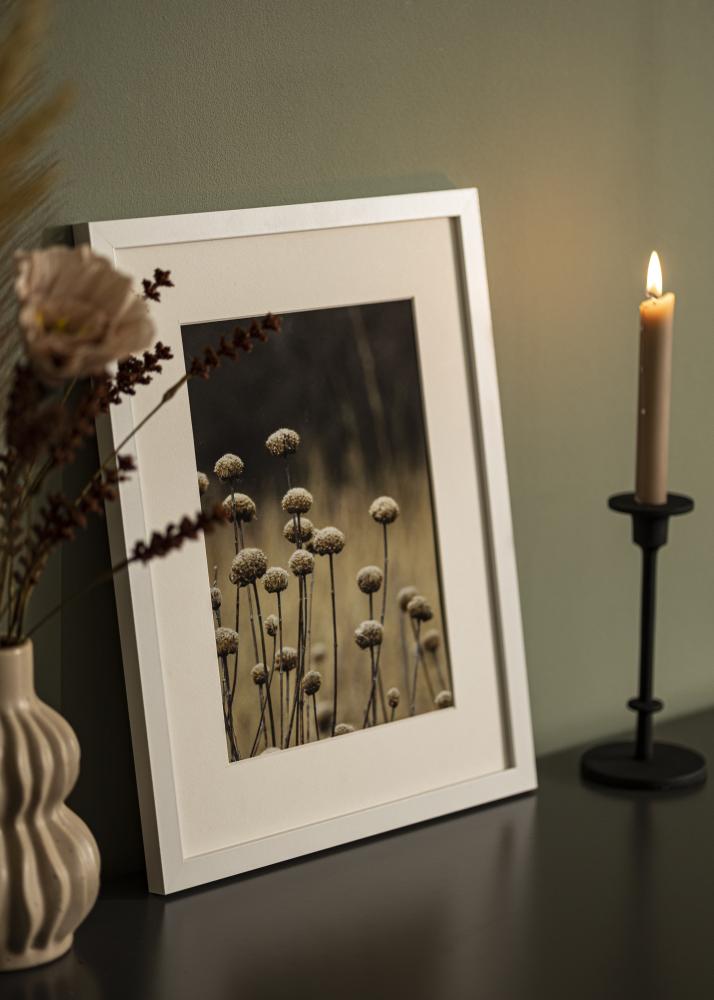 Rėmas Selection Akrilo stiklas Balta 61x91,5 cm