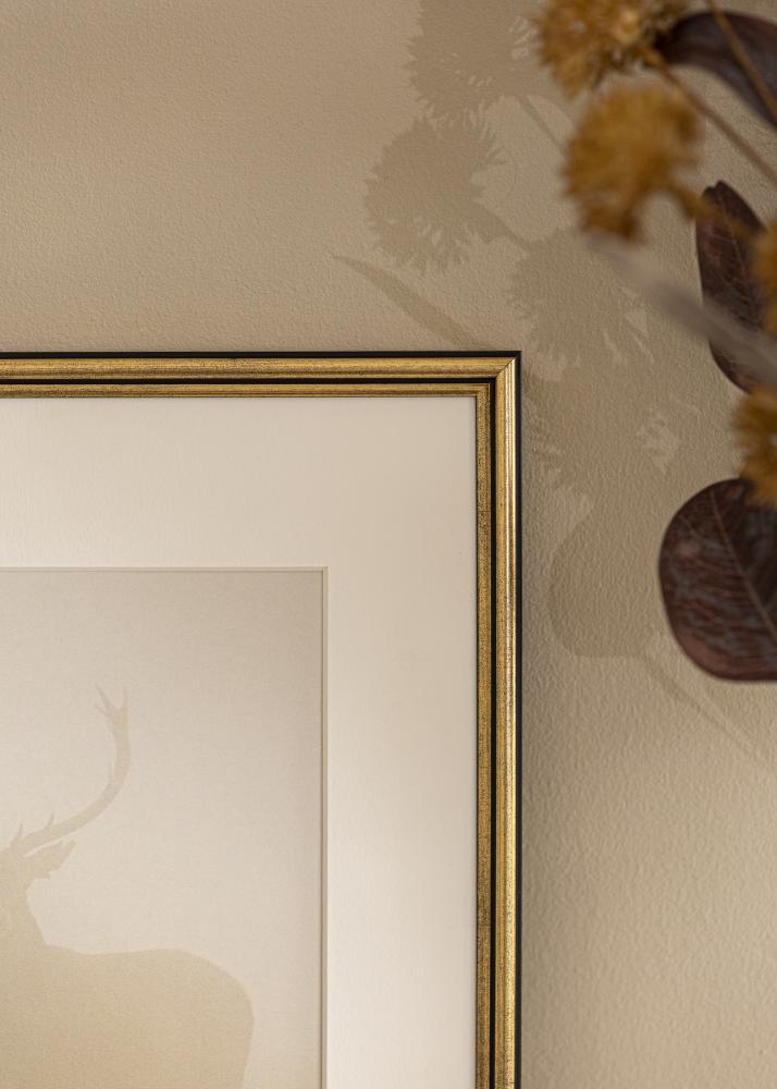 Rėmas Horndal Akrilo stiklas Auksas 7x10 cm