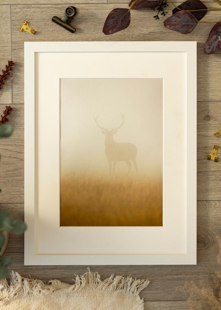 Rėmas BGA Classic Baltas 50x100 cm - Paspartu Baltas 40x90 cm