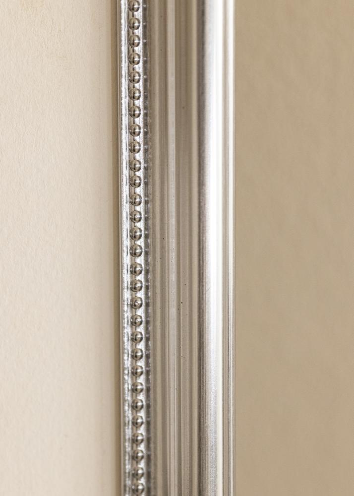 Rėmas Gala Sidabras 50x70 cm - Paspartu Baltas 39x60 cm