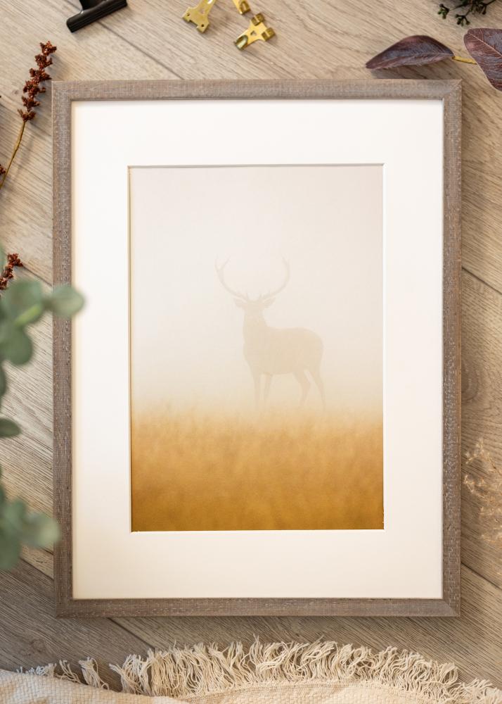 Rėmas Ares Pilka 50x65 cm - Paspartu Baltas 40x54 cm