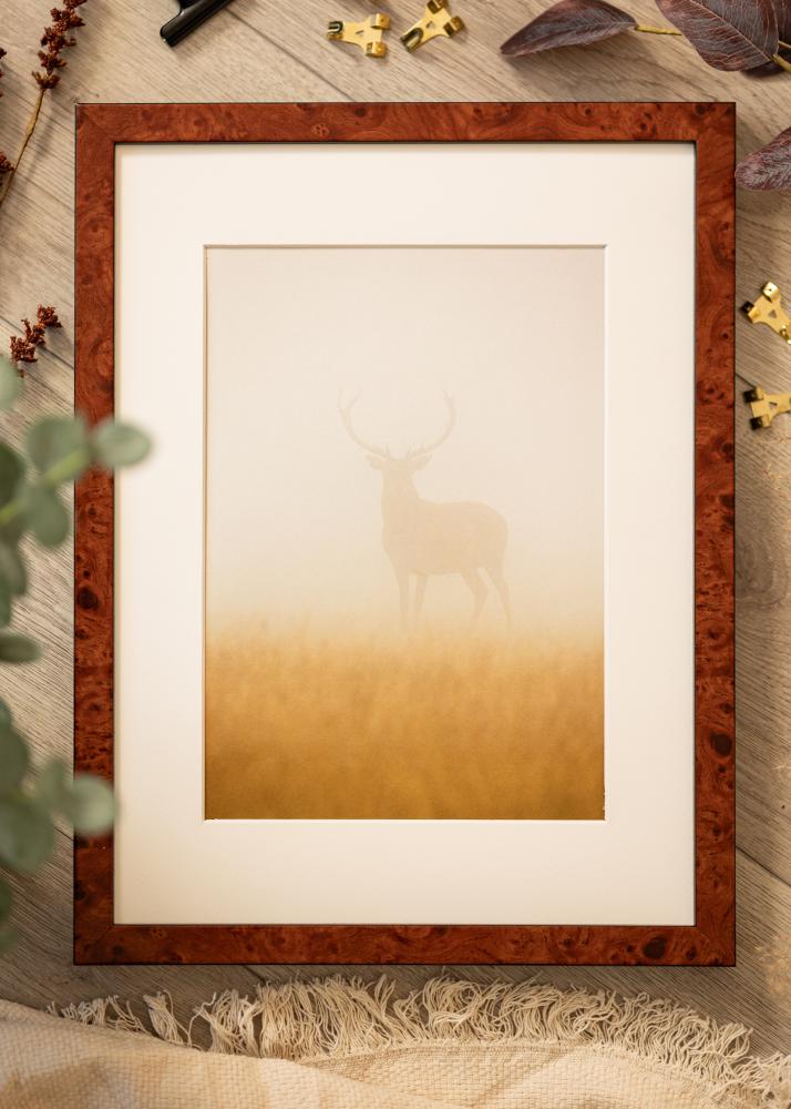 Rėmas Hermes Riešutas 60x80 cm - Paspartu baltas 20x28 inches