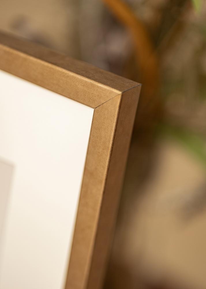 Rėmas Ares žalvaris 40x50 cm - Paspartu baltas 30x40 cm