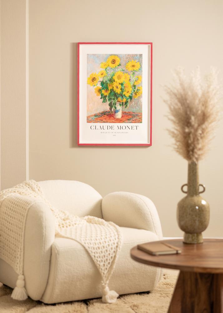 Rėmas Diana raudona 45x60 cm - Paspartu Baltas 35x50 cm