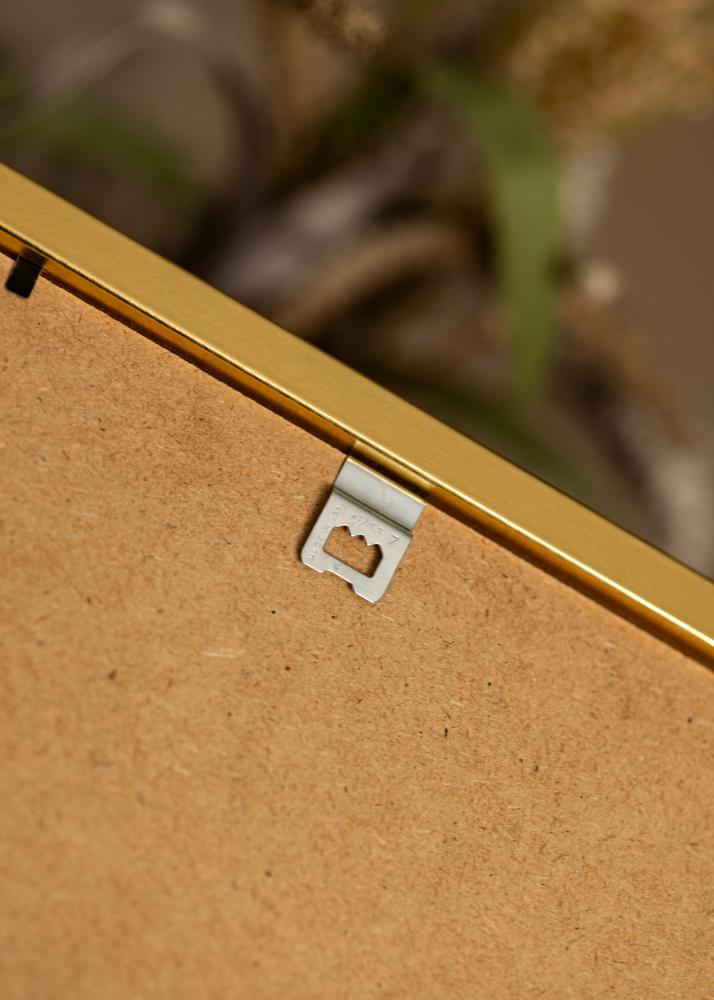 Rėmas Minerva Aukso 40x50 cm - Paspartu Baltas 28x38 cm