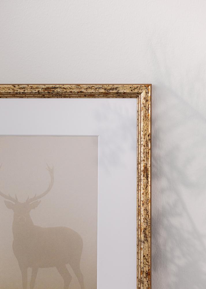 Rėmas Claudia Akrilo stiklas Sidabrinis 59,4x84,1 cm (A1)