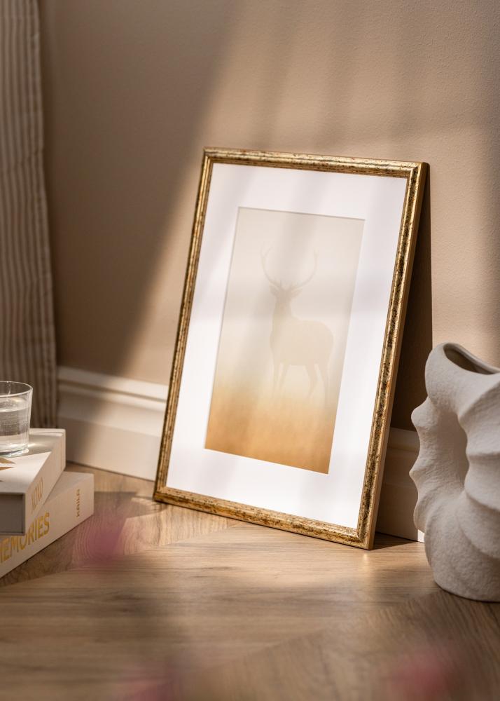 Rėmas Claudia Akrilo stiklas Sidabrinis 59,4x84,1 cm (A1)