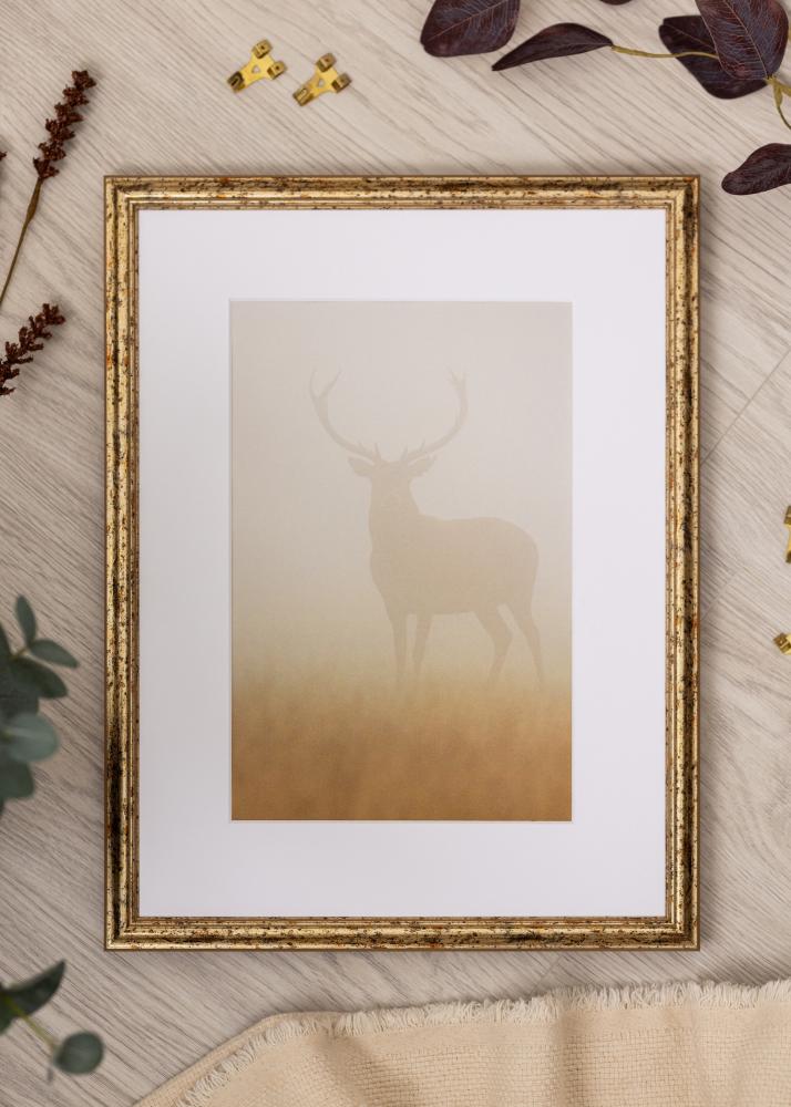 Rėmas Claudia Akrilo stiklas Sidabrinis 59,4x84,1 cm (A1)