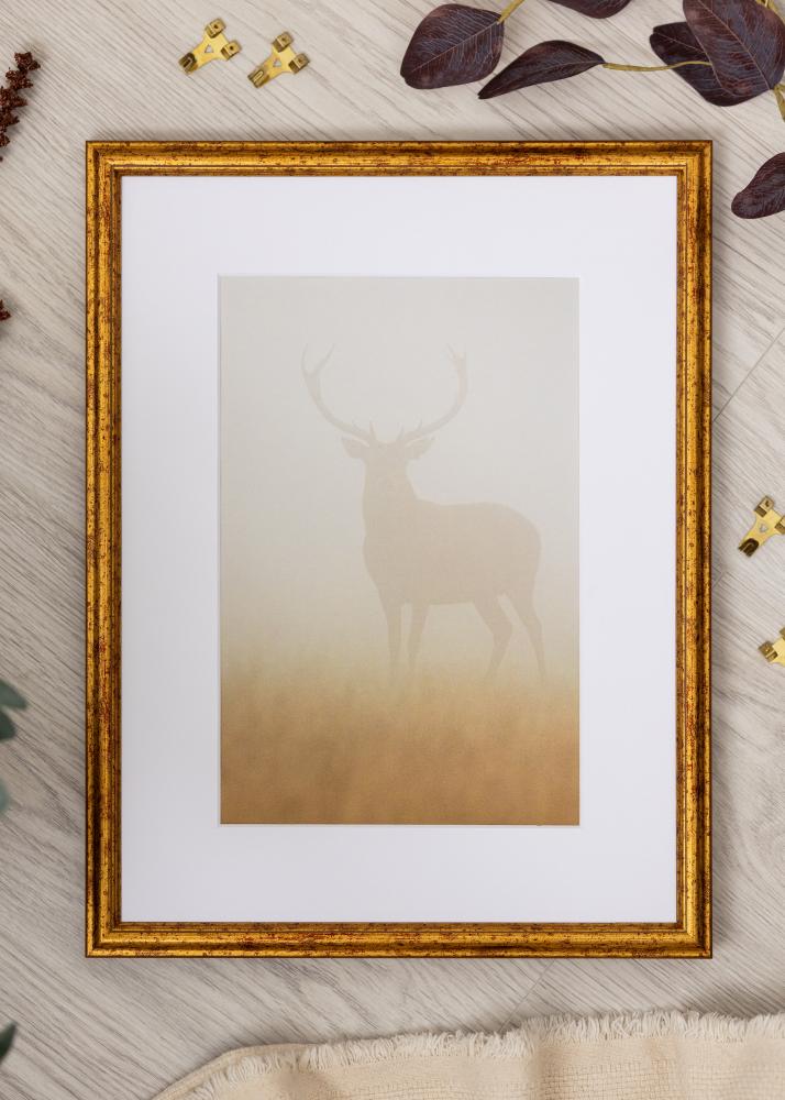 Rėmas Claudia Akrilo stiklas Auksinis 50x70 cm