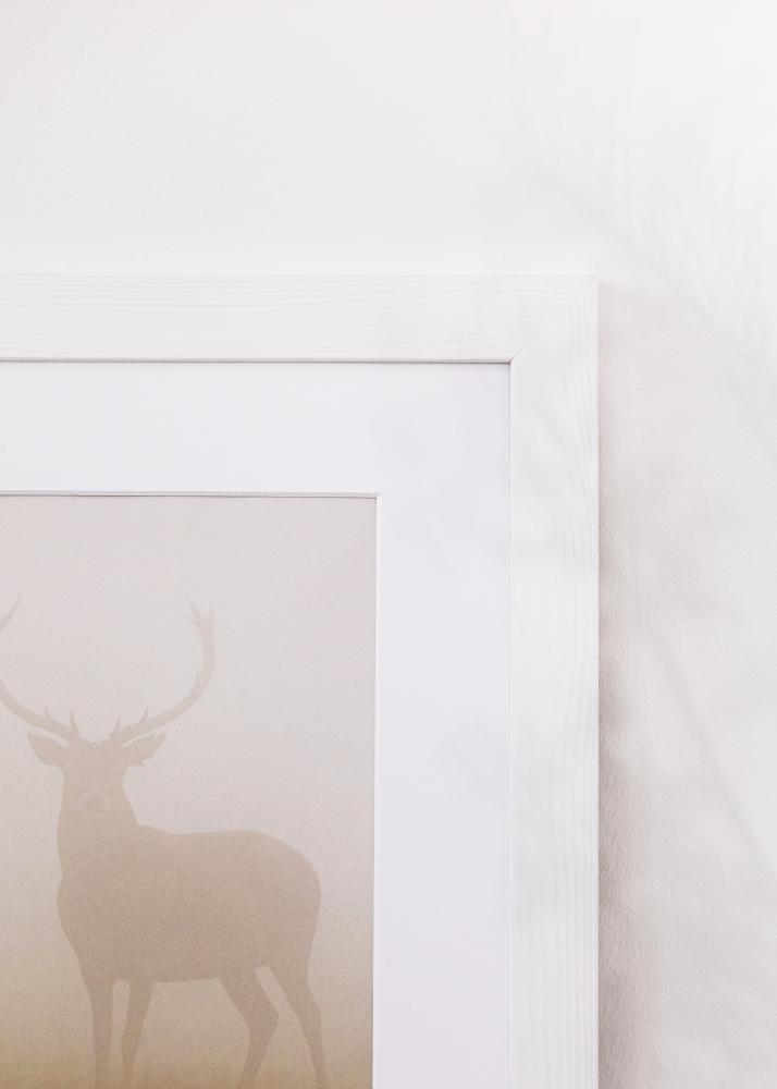 Rėmas Sandra Akrilinė stiklas Balta 40x60 cm